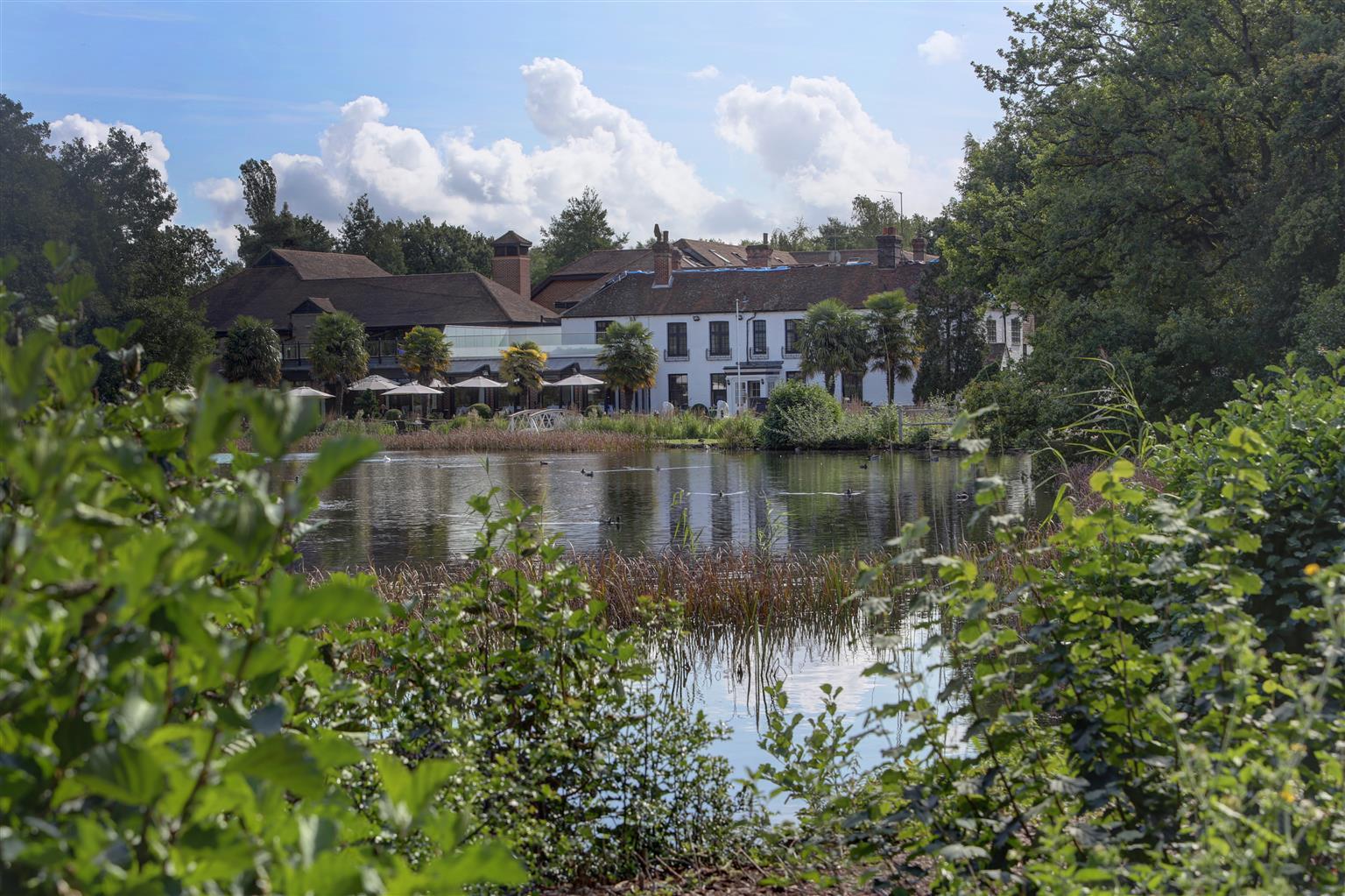 Frensham Pond Country House Hotel & Spa Farnham  Εξωτερικό φωτογραφία